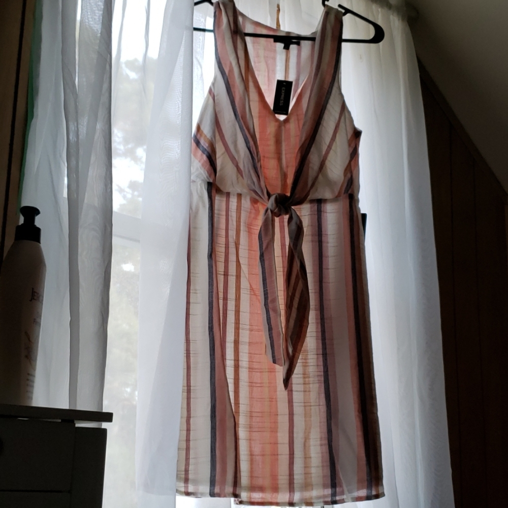 Express Dress - Picture 2 of 4
